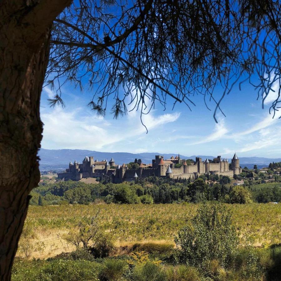 Maison De Margot Peyriac-Minervois Esterno foto