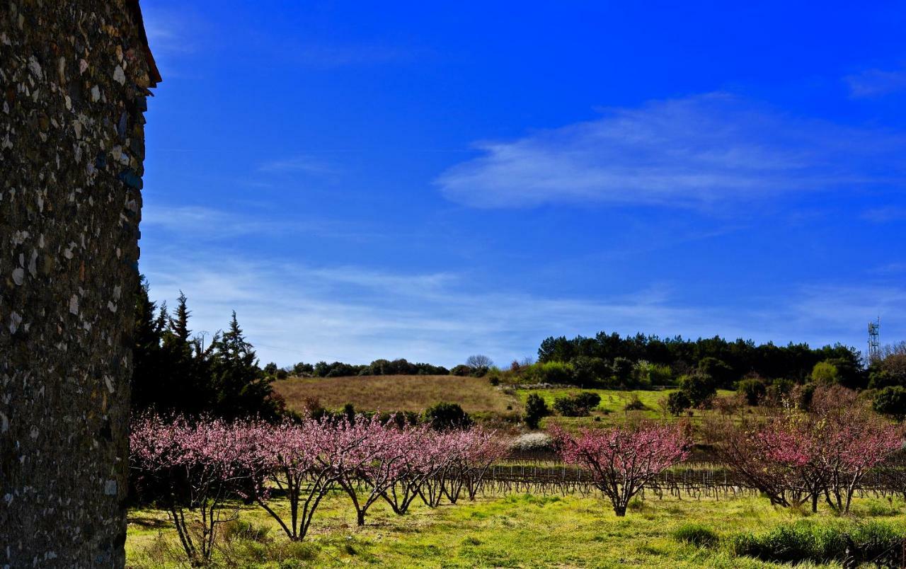 Maison De Margot Peyriac-Minervois Esterno foto