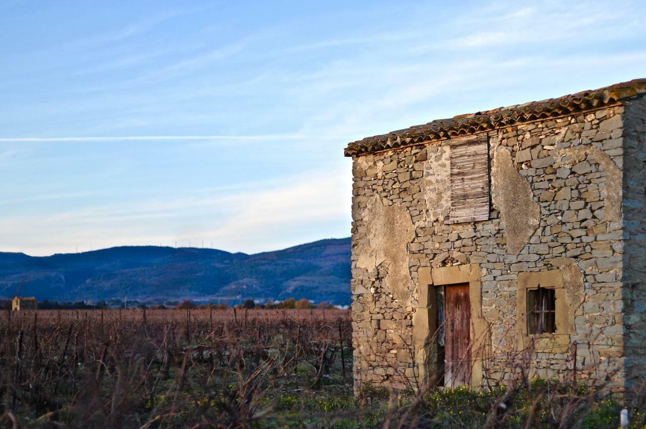 Maison De Margot Peyriac-Minervois Esterno foto